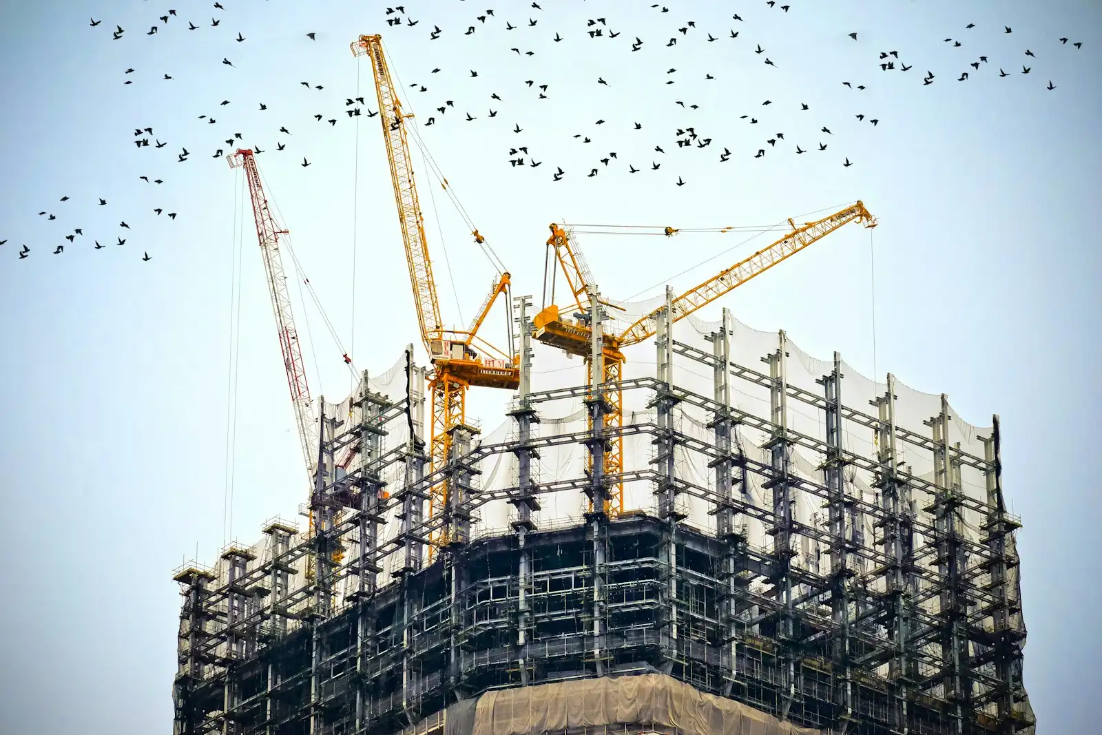 Bâtiment en construction : échafaudages et grues